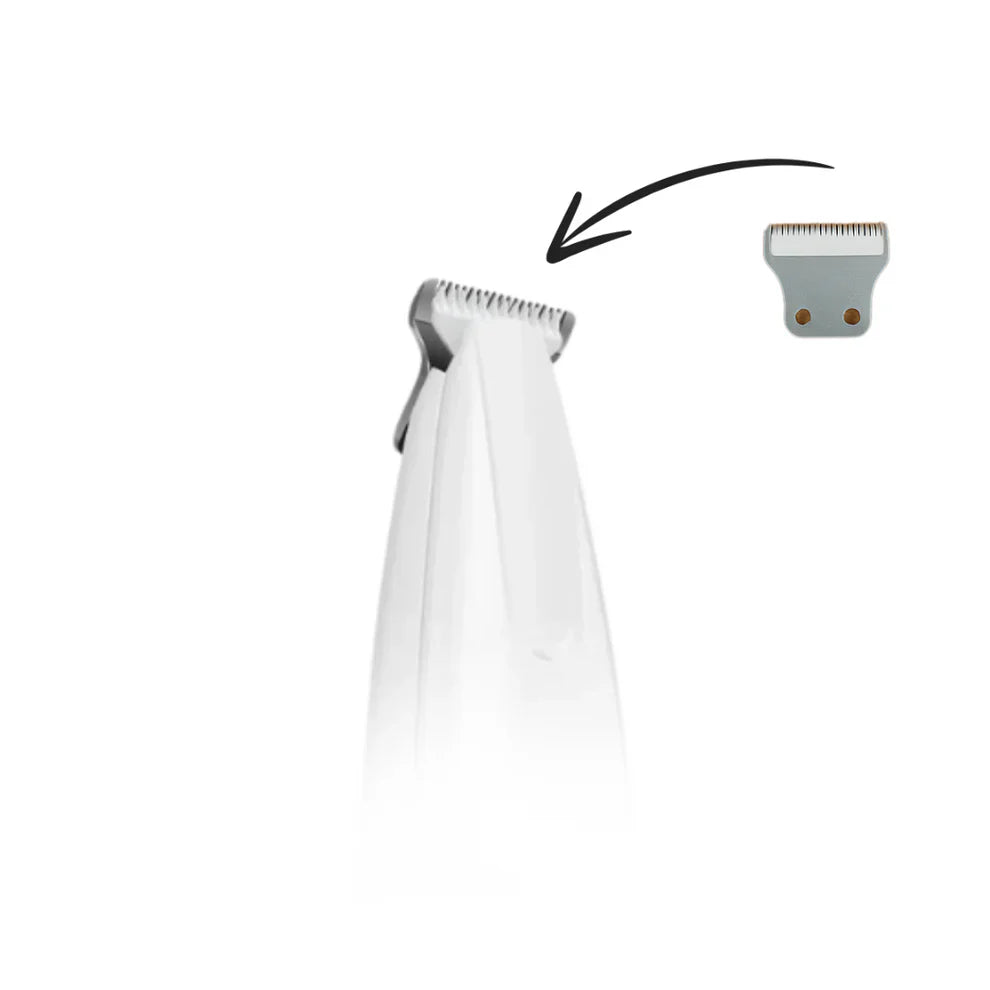 Free Replacement Blades