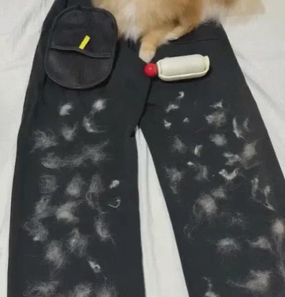 The Magic Brush - Hair-Free Furniture in One Simple Step