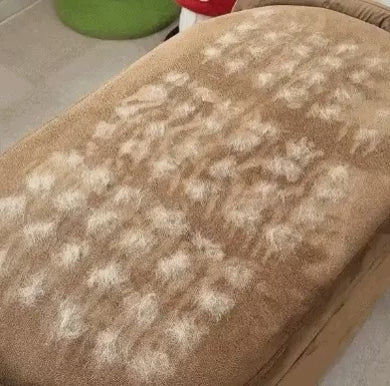 The Magic Brush - Hair-Free Furniture in One Simple Step